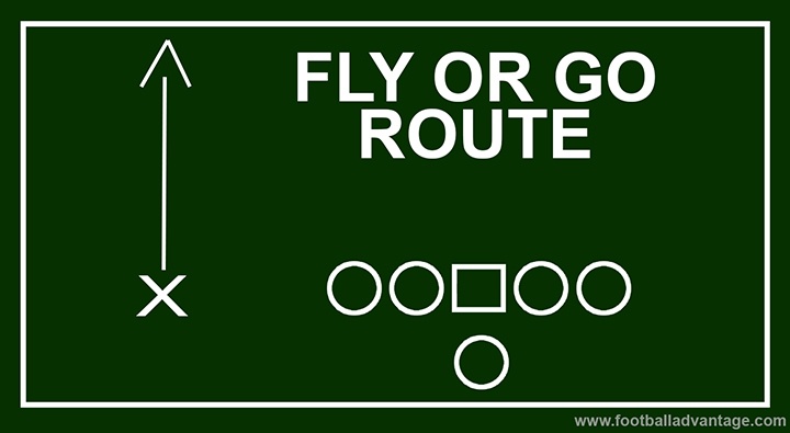 fly-or-go-route