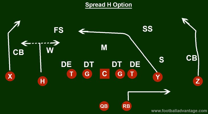spread h option