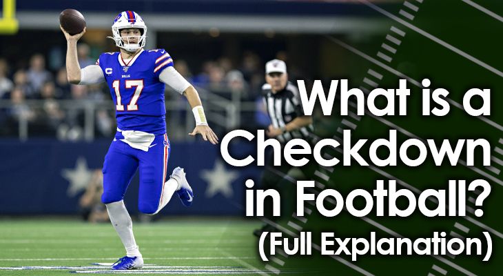 The Checkdown - A look at the AFC and NFC standings in our